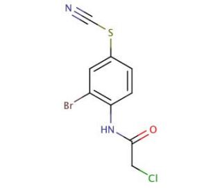 3-bromo-4-[(chloroacetyl)amino]phenyl thiocyanate - chemical structure image