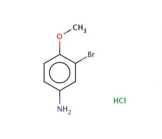 3-Bromo-4-methoxyaniline hydrochloride (CAS 80523-34-8) - chemical structure image