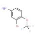 3-Bromo-4-(trifluoromethoxy)aniline (CAS 191602-54-7) - chemical structure image