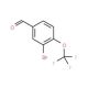 3-Bromo-4-(trifluoromethoxy)benzaldehyde (CAS 85366-66-1) - chemical structure image