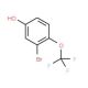 3-Bromo-4-(trifluoromethoxy)phenol (CAS 886496-88-4) - chemical structure image