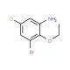 3-bromo-5-chloro-2-ethoxyaniline - chemical structure image