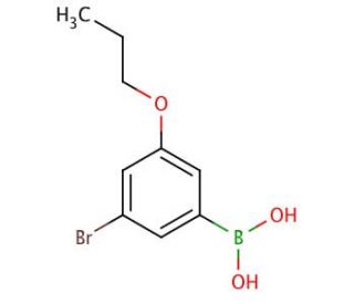 3-Bromo-5-propoxyphenylboronic acid (CAS 871126-27-1) - chemical structure image