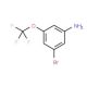 3-Bromo-5-(trifluoromethoxy)aniline - chemical structure image