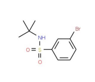 3-Bromo-N-(tert-butyl)benzenesulphonamide (CAS 308283-47-8) - chemical structure image