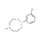 3-Bromobenzeneboronic acid N-methyldiethanolamine ester (CAS 374538-00-8) - chemical structure image