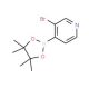 3-Bromopyridine-4-boronic acid pinacol ester (CAS 458532-92-8) - chemical structure image