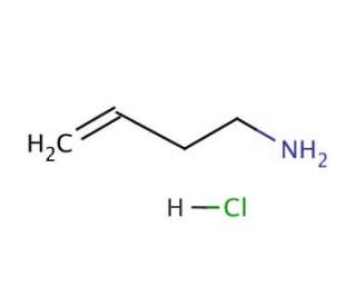 3-Butenylamine hydrochloride (CAS 17875-18-2) - chemical structure image
