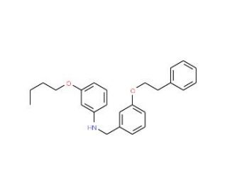 3-Butoxy-N-[3-(phenethyloxy)benzyl]aniline - chemical structure image