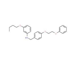 3-Butoxy-N-[4-(2-phenoxyethoxy)benzyl]aniline - chemical structure image