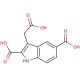 3-(Carboxymethyl)-1H-indole-2,5-dicarboxylic acid - chemical structure image