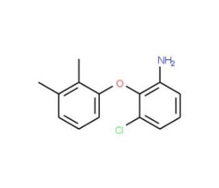 3-Chloro-2-(2,3-dimethylphenoxy)aniline - chemical structure image