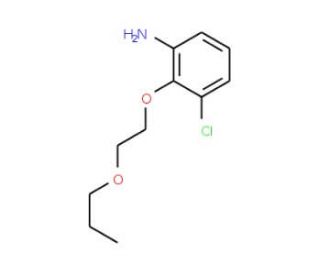 3-Chloro-2-(2-propoxyethoxy)aniline - chemical structure image