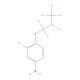 3-Chloro-4-(1,1,2,3,3,3-hexafluoropropoxy)aniline (CAS 1100832-66-3) - chemical structure image