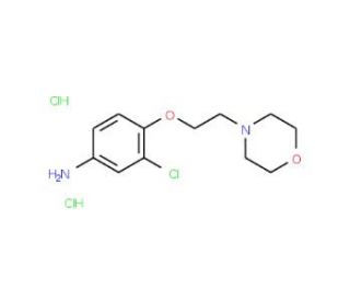 3-Chloro-4-[2-(4-morpholinyl)ethoxy]phenylamine dihydrochloride - chemical structure image