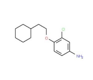 3-Chloro-4-(2-cyclohexylethoxy)aniline - chemical structure image