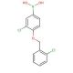 3-Chloro-4-(2′-chlorobenzyloxy)phenylboronic acid (CAS 870777-26-7) - chemical structure image