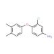 3-Chloro-4-(3,4-dimethylphenoxy)aniline - chemical structure image