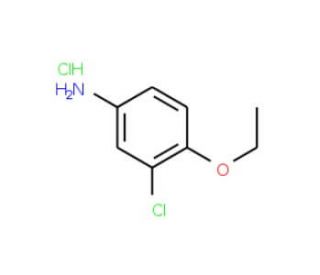 3-Chloro-4-ethoxyaniline hydrochloride - chemical structure image