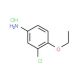 3-Chloro-4-ethoxyaniline hydrochloride - chemical structure image
