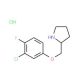 3-Chloro-4-fluorophenyl 2-pyrrolidinylmethylether hydrochloride - chemical structure image