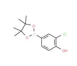 3-Chloro-4-hydroxyphenylboronic acid, pinacol ester (CAS 629658-06-6) - chemical structure image