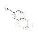 3-Chloro-4-(trifluoromethoxy)benzonitrile (CAS 129604-26-8) - chemical structure image