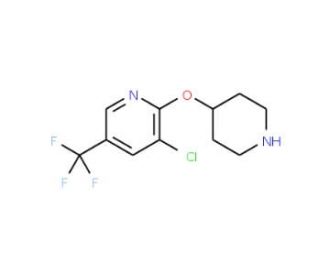 3-Chloro-5-(trifluoromethyl)-2-pyridinyl4-piperidinyl ether - chemical structure image