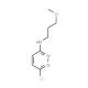 3-Chloro-6-(3-methoxypropylamino)pyridazine (CAS 898656-60-5) - chemical structure image
