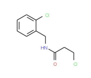 3-chloro-N-(2-chlorobenzyl)propanamide (CAS 103038-66-0) - chemical structure image