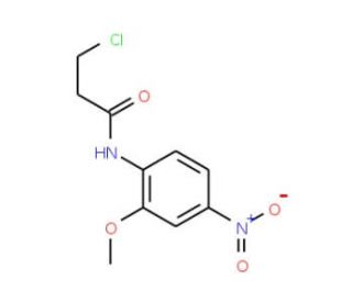 3-chloro-N-(4-methoxy-2-nitrophenyl)propanamide - chemical structure image