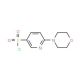 3-(Chlorosulphonyl)-6-(morpholin-4-yl)pyridine (CAS 337508-68-6) - chemical structure image
