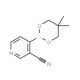 3-Cyano-4-(5,5-Dimethyl-[1,3,2]dioxaborinan-2-yl)pyridine (CAS 868944-73-4) - chemical structure image