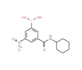 3-(Cyclohexylaminocarbonyl)-5-nitrophenylboronic acid (CAS 871332-85-3) - chemical structure image