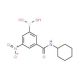 3-(Cyclohexylaminocarbonyl)-5-nitrophenylboronic acid (CAS 871332-85-3) - chemical structure image