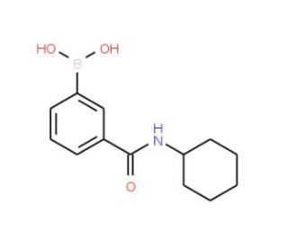 3-(Cyclohexylaminocarbonyl)phenylboronic acid (CAS 850567-25-8) - chemical structure image