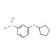 [3-(cyclopentyloxy)phenyl]boranediol (CAS 959850-87-4) - chemical structure image