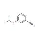 3-(Difluoromethoxy)benzonitrile (CAS 97582-88-2) - chemical structure image