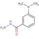 3-(dimethylamino)benzohydrazide (CAS 205927-64-6) - chemical structure image