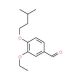 3-Ethoxy-4-(3-methylbutoxy)benzaldehyde - chemical structure image
