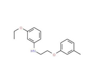 3-Ethoxy-N-[2-(3-methylphenoxy)ethyl]aniline - chemical structure image