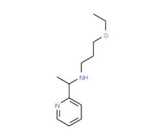 (3-Ethoxy-propyl)-(1-pyridin-2-yl-ethyl)-amine - chemical structure image