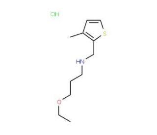 (3-Ethoxy-propyl)-(3-methyl-thiophen-2-ylmethyl)-amine hydrochloride - chemical structure image