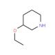 3-Ethoxypiperidine (CAS 88536-17-8) - chemical structure image