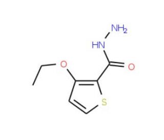 3-Ethoxythiophene-2-carbohydrazide (CAS 175137-40-3) - chemical structure image