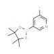 3-Fluoropyridine-5-boronic acid pinacol ester (CAS 719268-92-5) - chemical structure image