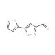 3-Formyl-5-(thien-2-yl)isoxazole (CAS 465514-11-8) - chemical structure image