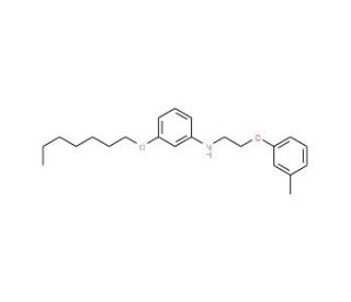 3-(Heptyloxy)-N-[2-(3-methylphenoxy)ethyl]aniline - chemical structure image