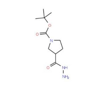 3-Hydrazinocarbonyl-pyrrolidine-1-carboxylic acid tert-butyl ester (CAS 411238-88-5) - chemical structure image