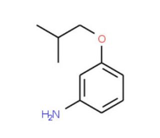 3-Isobutoxy-phenylamine (CAS 37532-43-7) - chemical structure image